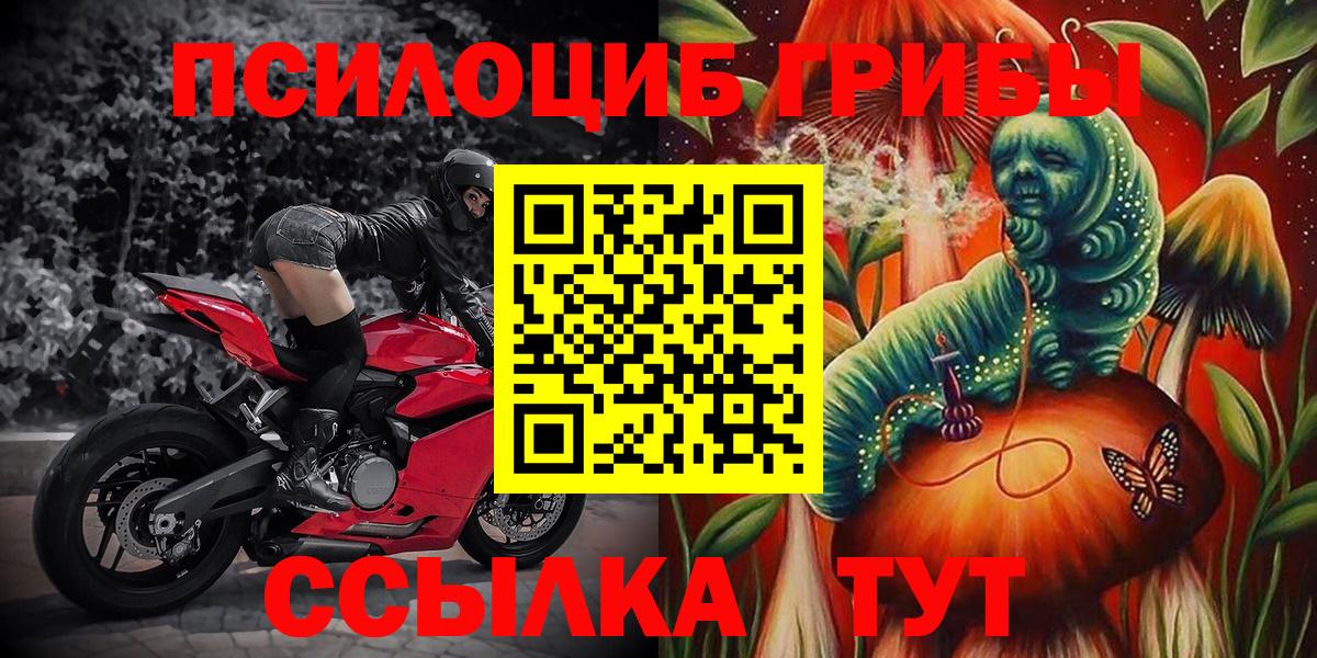 Галлюциногенные грибы мухоморы Чернушка