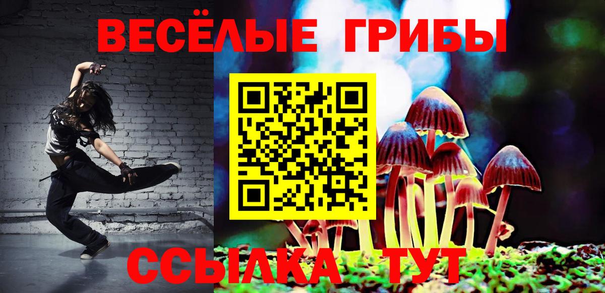 Псилоцибиновые грибы ЛСД  Галлюциногенные грибы Psilocybe  Вход с VPN  Чернушка 